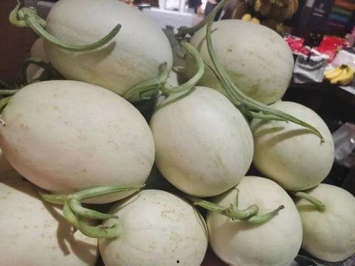 海南女子吃瓜,揭秘热带风情下的美食文化