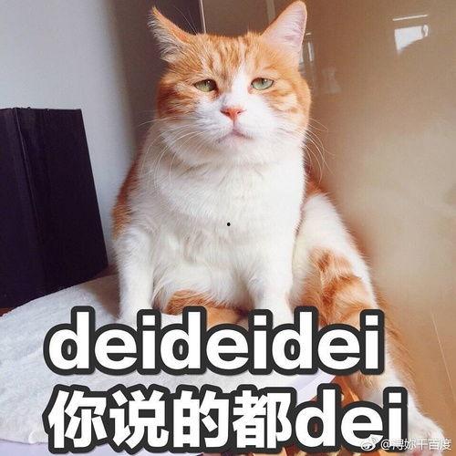 情感吃瓜连线,甜蜜与苦涩的瓜果连连