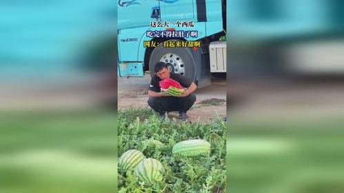 吃瓜么拉肚子,揭秘夏季饮食健康隐患