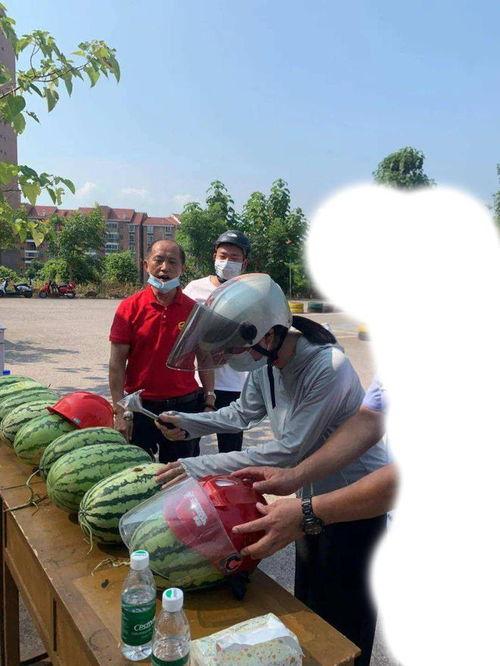 河北保定吃瓜事件,一场网络热议背后的真相与反思