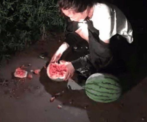 偷瓜被抓吃瓜怎么处罚的,偷瓜被抓吃瓜者处罚案例解析