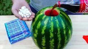 吃瓜视频河南实验,揭秘吃瓜视频背后的秘密