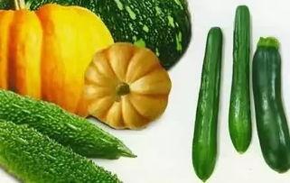 和尚吃瓜的图片,趣味横生的禅意瞬间