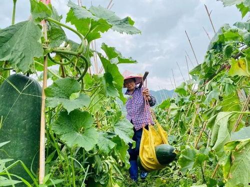 更多劲爆吃瓜,劲爆吃瓜事件大汇总！