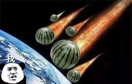 吃瓜姐妹的文案