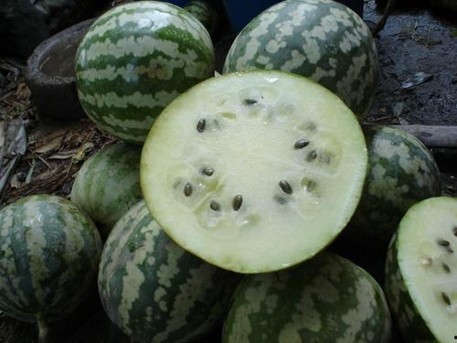 绿色京瓜怎么吃,探索健康美味的新选择