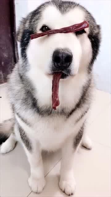 绝望的吃瓜,揭秘娱乐圈背后的残酷真相