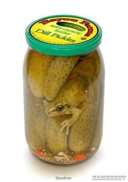 吃瓜小罐头,夏日消暑新宠的诞生与流行