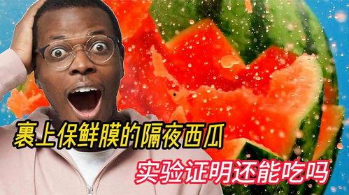 带你吃瓜实验室,带你吃瓜实验室的趣味探索之旅