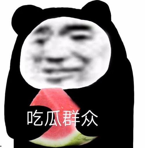 吃瓜各种表情包